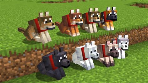 All Dog Breeds Minecraft