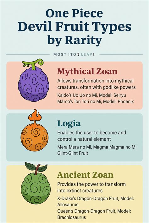 Devil Fruit Types