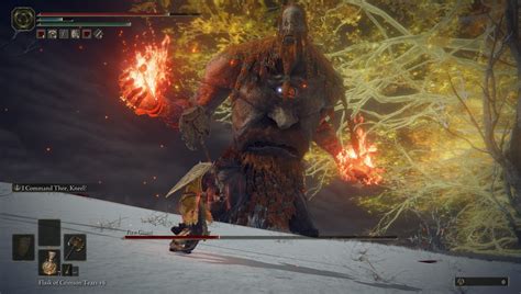 Elden Ring Fire Giant Weakness
