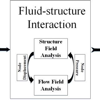 Fluid Structure Interaction In Healthcare