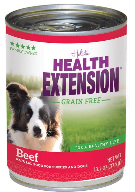 Health Extension