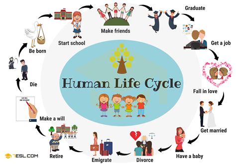 Health Problems Children Life Cycle