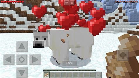 In Minecraft What Do Polar Bears Eat