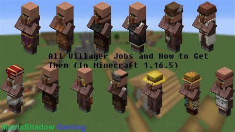 Villager Job